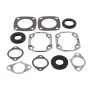Vertex Pistons 7111190 Vertex Gaskets 73-79 Ski-Doo Elan 250/Deluxe/250 SS Complete Gasket Kit w/ Oil Seals