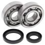 All Balls Racing 24-1014 Crank Bearing Kits