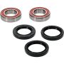 Pivot Works 25-1499-P CF-Moto, Ducati, Polaris Wheel Bearing Kit Premium Bearings