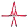 RJS SAFETY RJS1000104 Harness L&L 2in P/D