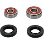Pivot Works 25-1181-P Wheel Bearing Kit
