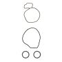 Ajusa 77014800 Gasket Set, Water Pump