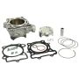 Athena P400510100003 Std Bore Cylinder Kits