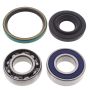 All Balls Racing 14-1017 1999 Ski-Doo Formula S Drive Shaft Bearing & Seal Kit Lower Shaft - Track