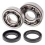 All Balls Racing 24-1043 88-06 Yamaha YFS200 Blaster Crank Shaft Bearing Kit