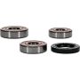 Pivot Works 25-1362-P Honda Wheel Bearing Kit Premium Bearings