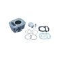 Athena P400210100054 Big Bore Cylinder Kits