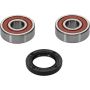 Pivot Works 25-1170-P Honda, Suzuki Wheel Bearing Kit Premium Bearings