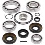 All Balls Racing 25-2091 06-13 Kawasaki KVF650 I Brute Force Differential Bearing & Seal Kit Rear