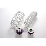 HKS 80280-AN001 NISSAN GTR R35 HM TOURING HEIGHT ADJUSTABLE SPRING KIT