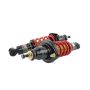 Skunk2 Racing 541-05-8700 Skunk2 01-05 Honda Civic / 01-05 Acura Integra Pro-ST Coilovers (Front 10 kg/mm - Rear 10 kg/mm)