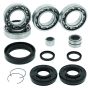 QuadBoss 414563 15-19 Honda TRX420FA FourTrax Rancher 4x4 AT IRS Front Differential Bearing & Seal Kit