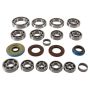 All Balls Racing 25-2112 17-19 Polaris ACE 500 Transaxle Bearing & Seal Kit