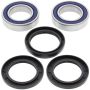 All Balls Racing 25-1122 79-85 Honda ATC110 Wheel Bearing Kit Rear