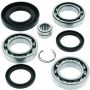 QuadBoss 414287 14-21 Honda TRX420FA1 FourTrax Rancher 4x4 AT DCT Rear Differential Bearing & Seal Kit