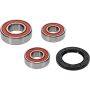 Pivot Works 25-1609-P Suzuki Wheel Bearing Kit Premium Bearings