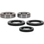 Pivot Works 25-1134-P Yamaha Wheel Bearing Kit Premium Bearings