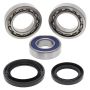 All Balls Racing 25-1018 00-05 Yamaha YFM35FX Wolverine Wheel Bearing Kit Rear