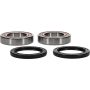 Pivot Works 25-1132-P Kawasaki Wheel Bearing Kit Premium Bearings