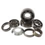 Hot Rods TBK0109 14-17 Kawasaki KX 250 F 250cc Transmission Bearing Kit