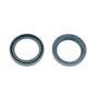 Athena P40FORK455109 04-08 Beta ARK LC 50 32x42x7mm Fork Oil Seal Kit