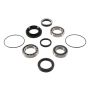 Pivot Works PWRWK-H29-003 Wheel Bearing Kit