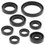 Vertex Pistons 822228 Vertex Gaskets 03-15 Yamaha WR450F Oil Seal Kit