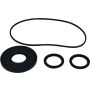 All Balls Racing 25-2075-5 20-23 Polaris Scrambler 1000 XP 55 Differential Seal Only Kit Front
