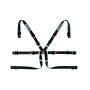 SPARCO 04819H2NR BELT 6 PNT 2in FORMULA BLK