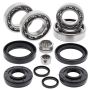 All Balls Racing 25-2071 09-14 Honda TRX420 FA IRS Differential Bearing & Seal Kit Front
