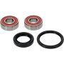 Pivot Works 25-1604-P Honda Wheel Bearing Kit Premium Bearings