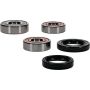 Pivot Works 25-1650-P Aprilia, BMW Wheel Bearing Kit Premium Bearings