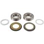 Pivot Works PWSSK-H25-000 83-87 Honda ATC200X PW Steering Stem Bearing Kit