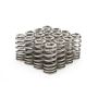 PAC RACING SPRINGS PACPAC-1232X-16 1.345 Valve Springs - Ovate Beehive (16)