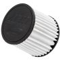 AEM 21-2110BF AEM DryFlow Air Filter