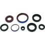 QuadBoss 564596 12-14 Arctic Cat 550 4x4 EFI Oil Seal Set