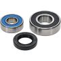 Pivot Works 25-1043-P Polaris, Suzuki Wheel Bearing Kit Premium Bearings