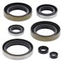 Vertex Pistons 822102 Vertex Gaskets 86-88 Kawasaki KDX200 Oil Seal Kit