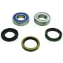 All Balls Racing 14-1086 16-18 Ski-Doo MXZ 600 2-Stroke Carb Jack Shaft Bearing & Seal Kit Upper Shaft