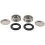 Pivot Works PWSAK-H42-000 Swing Arm Kit