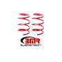 BMR Suspension SP073R Lowering Springs, Front, Handling, GT500