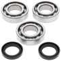 All Balls Racing 24-1077 89-92 Polaris Big Boss 250 4x6 Crank Shaft Bearing Kit