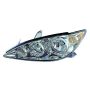 DEPO 312-1182L-AC1 Capa Head Lamp