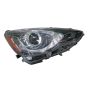 DEPO 312-11ACR-AC7 Capa Head Lamp