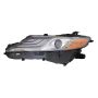 DEPO 312-11AWL-ACN7 Capa Head Lamp