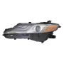 DEPO 312-11AWL-ASN7 Head Lamp