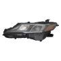 DEPO 312-11AXL-ASN9 Head Lamp