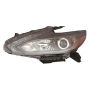 DEPO 315-11ABL-ACN7 Capa Head Lamp