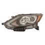 DEPO 315-11ANL-AS2 Head Lamp