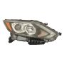DEPO 315-11ANR-AC2 Capa Head Lamp